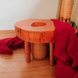 Imagem de capa para o Ebook Ervas para Vaporização Uterina 