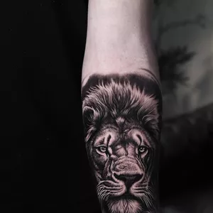 Imagem de capa para o Curso online TATTOO: LEÃO DO ZERO AO AVANCADO