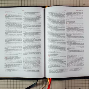 Imagem de capa para o Ebook Aprenda a Montar um Esboço Simples e Fácil 