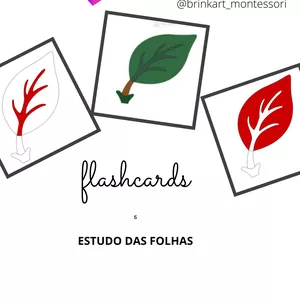 Imagem de capa para o Ebook Flashcard parte das folhas montessori