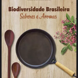 Imagem de capa para o Curso online Ebook-delícias brasileira 900 receitas 