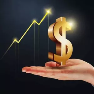 Imagem de capa para o Curso online O que é Bolsa de valores e como Funciona 