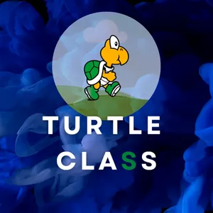 Imagem de capa para o Curso online Turtle Class