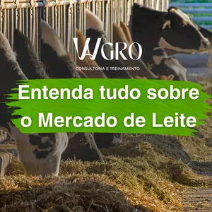 Imagem do curso Entenda tudo sobre o Mercado de Leite