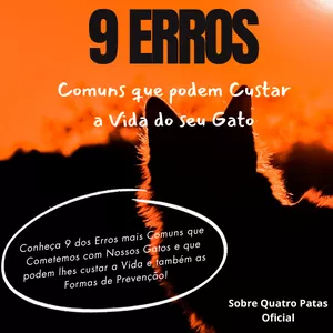 Imagem do curso 9 Erros Comuns que Podem Custar a Vida do seu Gato