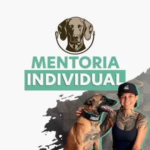 Imagem de capa para o Curso online Mentoria Individual