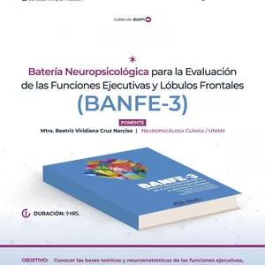 Imagen de portada para Curso online BANFE-3