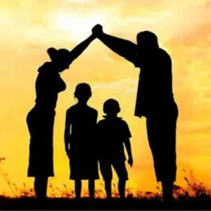 Imagem de capa para o Curso online PRINCIPAIS LEIS DA CONSTELAÇÃO FAMILIAR DE BERT HELLINGER