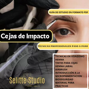 Imagen de portada para Ebook GUÍA DE ESTUDIO CEJAS DE IMPACTO