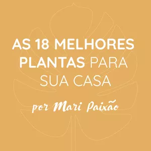 Imagem de capa para o Ebook GUIA | AS MELHORES PLANTAS PARA SUA CASA