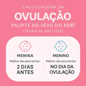 Imagem de capa para o Curso online 🎯 Calculadora da Ovulação com Palpite de Sexo do Bebê