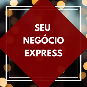 Imagem de capa para o Curso online Curso Seu Negócio Express