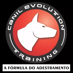 Imagem principal do produto A Fórmula do Adestramento 2.0
