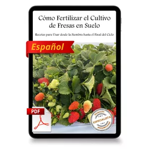 Imagen de portada para Ebook [Fresas] Libro Digital | 1 unidad | Cómo fertilizar plantas de fresa cultivadas en el suelo - Recetas para usar desde la Siembra hasta el Final del Ciclo 
