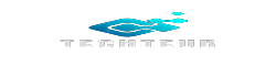 Techteur
