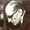 SAMUEL H. WEIR  (curated by Tony White.)