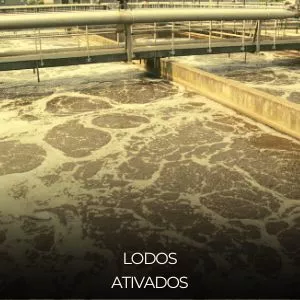 Imagem de capa para o Curso online Lodos Ativados