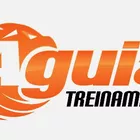 aguia treinamentos