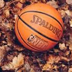 Imagen de portada para Curso online el baloncesto