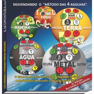 Imagem de capa para o Ebook A Acupuntura dos 5 Elementos - 1.volume