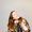 Mary Lambert