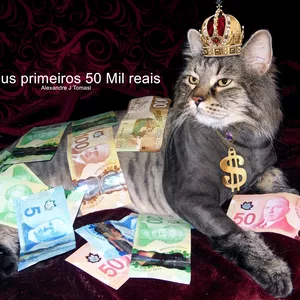 Imagem principal do produto Meus primeiros 50 mil reais + BONUS MENTALIDADE RICA