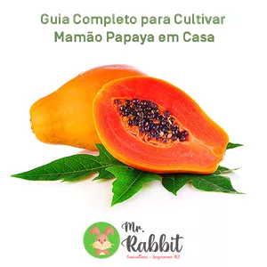 Imagem de capa para o Ebook Da Semente à Doçura: Guia Rápido para Cultivar Mamão Papaya em Casa