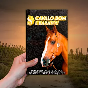 Imagem de capa para o Ebook LEVE JUNTO: Cavalo bom e barato