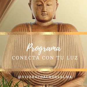 Imagen de portada para Curso online Programa Conecta con Tu luz