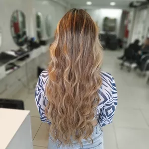 Imagem de Curso de Escovista Profissional criado por Virginia na hotmart