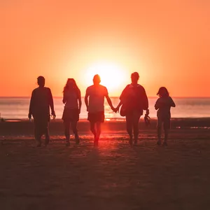 Imagem de capa para o Curso online Conexão Vida Plena 1.0