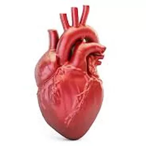 Imagem de capa para o Curso online Cardiologia