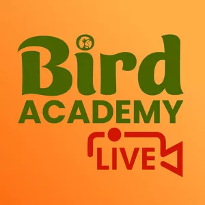 Imagem de capa para o Curso online Bird Academy Lives