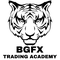 BGFX Trading Academy