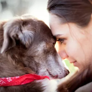 Imagem de capa para o Curso online Cara de Um, Focinho do Outro (Porque meu animal se parece comigo). 