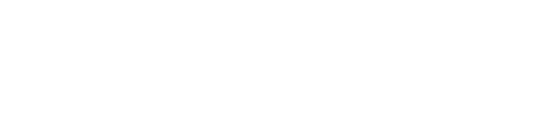 The BariBoss Academy logo