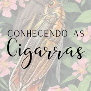 Imagem de capa para o Ebook Conhecendo as Cigarras