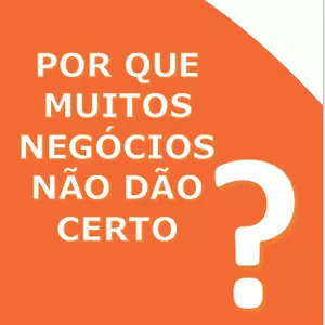 Imagem de capa para o Ebook Por que muitos negócios não dão certo?