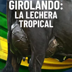 Imagen de portada para Ebook GIROLANDO: LA LECHERA TROPICAL