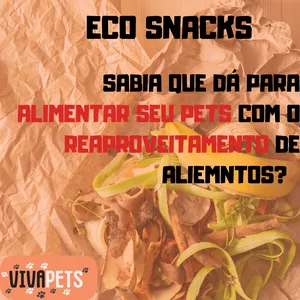 Imagem de capa para o Ebook ECO SNACKS SUSTENTÁVEIS