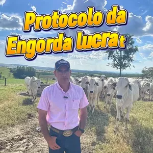 Imagem de capa para o Curso online PROTOCOLO DA ENGORDA LUCRATIVA