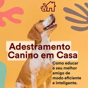 Imagem de capa para o Ebook Adestramento Canino em Casa