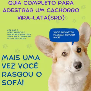 Imagem de capa para o Ebook Guia Completo Para Adestrar um Vira Lata (SRD)