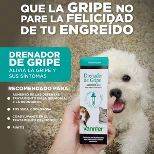 Imagen de portada para Curso online Drenadores de Toxinas Ideal para la salud de tu MASCOSTA