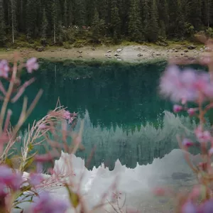 Imagen de portada para Ebook Guía práctica de tanatóloga, destellos del universo para el alma