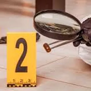 Imagen de portada para Curso online La investigación criminal en México