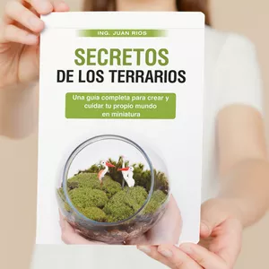 Imagen de portada para Ebook Secretos De Los Terrarios.