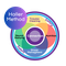 Haller Method Training