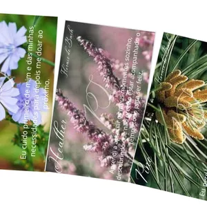 Imagem de capa para o Ebook Cards florais de Bach