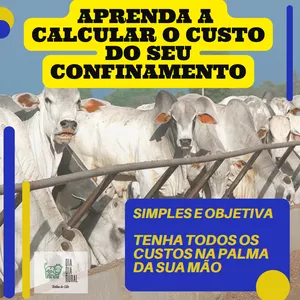 Imagem do curso Planilha de custos para confinamento